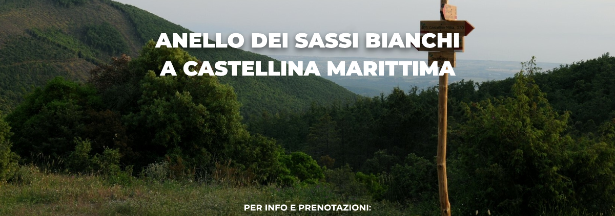 Anello dei Sassi Bianchi a Castellina Marittima