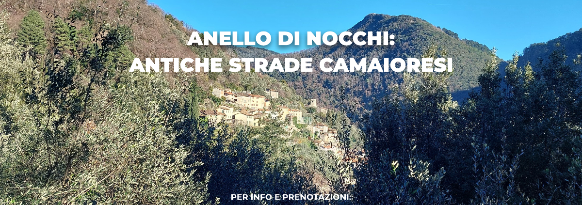 Anello di Nocchi, antiche strade camaioresi